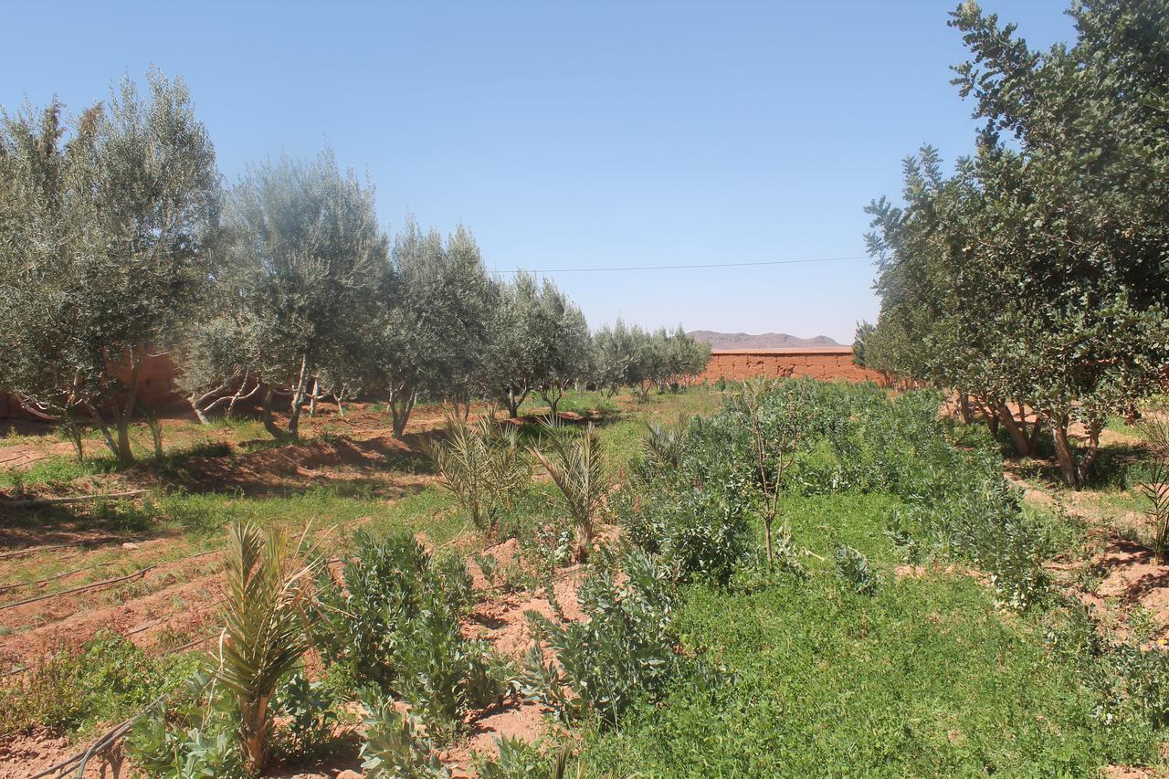 Dar Alfourssane Ferme D'Hote Уарзазат Экстерьер фото